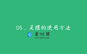 DS_灵摆的使用方法