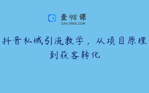 抖音私域引流教学,从项目原理到获客转化