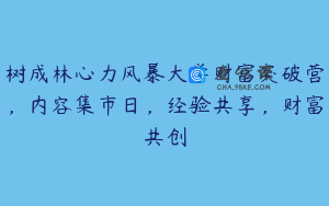 树成林心力风暴大学财富突破营，内容集市日，经验共享，财富共创