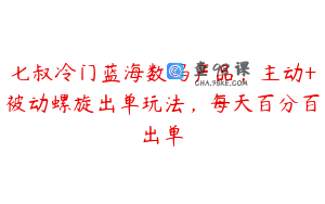 七叔冷门蓝海数码产品，主动+被动螺旋出单玩法，每天百分百出单