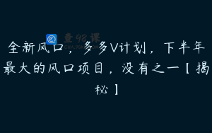 全新风口,多多V计划,下半年最大的风口项目,没有之一【揭秘】
