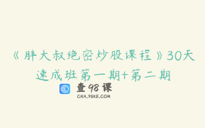 《胖大叔绝密炒股课程》30天速成班第一期+第二期