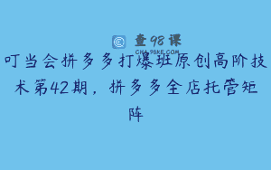 叮当会拼多多打爆班原创高阶技术第42期，拼多多全店托管矩阵