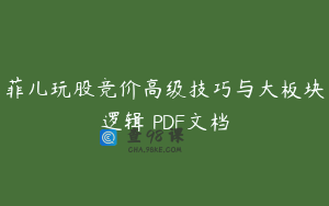 菲儿玩股竞价高级技巧与大板块逻辑 PDF文档