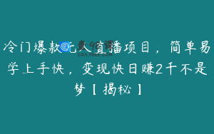 冷门爆款无人直播项目，简单易学上手快，变现快日赚2千不是梦【揭秘】