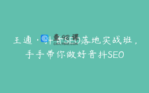 王通·抖音SEO落地实战班，手手带你做好音抖SEO