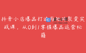 抖音小店爆品打造与矩阵裂变实战课，从0到1掌握爆品运营秘籍