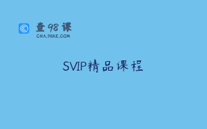 SVIP精品课程