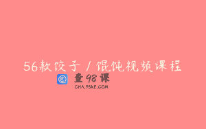 56款饺子／馄饨视频课程