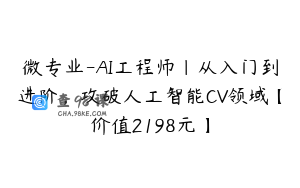 微专业-AI工程师|从入门到进阶，攻破人工智能CV领域【价值2198元】
