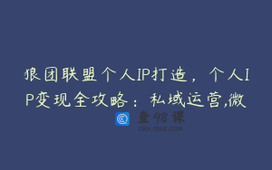 狼团联盟个人IP打造，个人IP变现全攻略：私域运营,微