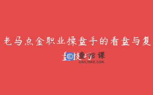 老马点金职业操盘手的看盘与复盘技巧