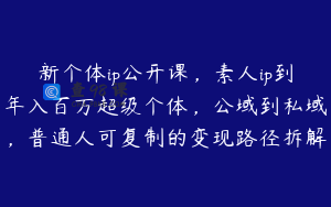 新个体ip公开课，素人ip到年入百万超级个体，公域到私域，普通人可复制的变现路径拆解