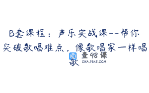 B套课程：声乐实战课–帮你突破歌唱难点，像歌唱家一样唱歌