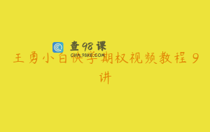 王勇小白快学期权视频教程 9讲