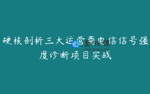 硬核剖析三大运营商电信信号强度诊断项目实战
