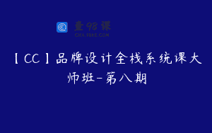 【CC】品牌设计全栈系统课大师班-第八期