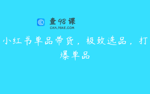 小红书单品带货，极致选品，打爆单品