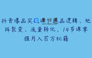 抖音爆品实战课:选品逻辑、矩阵裂变、流量转化,14节课掌握月入百万秘籍