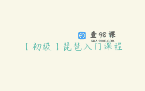 【初级】琵琶入门课程