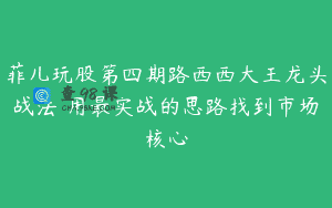 菲儿玩股第四期路西西大王龙头战法 用最实战的思路找到市场核心