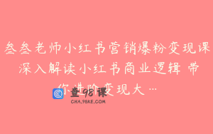 叁叁老师小红书营销爆粉变现课 深入解读小红书商业逻辑 带你进阶变现大…