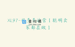 XL97-拼多多运营【聪明卖家都在做】