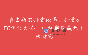霍去病的抖音seo课，抖音SEO优化大热，红利期蕴藏无上限财富