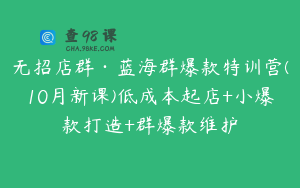 无招店群·蓝海群爆款特训营(10月新课)低成本起店+小爆款打造+群爆款维护