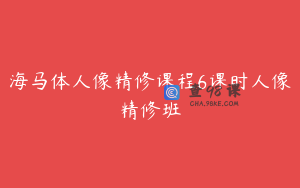 海马体人像精修课程6课时人像精修班