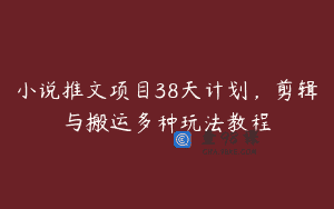 小说推文项目38天计划，剪辑与搬运多种玩法教程