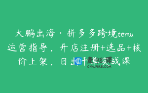 大鹏出海·拼多多跨境temu运营指导，开店注册+选品+核价上架，日出千单实战课