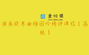 演奏级单曲梅园吟精讲课程【荔枝】