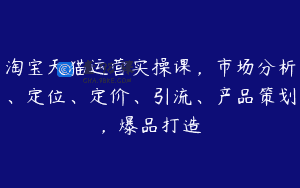 淘宝天猫运营实操课，市场分析、定位、定价、引流、产品策划，爆品打造