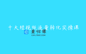 十大短视频流量转化实操课