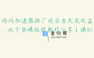 游戏加速器推广项目当天见收益，纯干货喂饭级教程分享【揭秘】