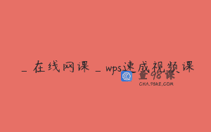 _在线网课_wps速成视频课