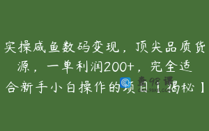 实操咸鱼数码变现，顶尖品质货源，一单利润200+，完全适合新手小白操作的项目【揭秘】