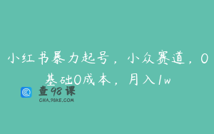 小红书暴力起号，小众赛道，0基础0成本，月入1w