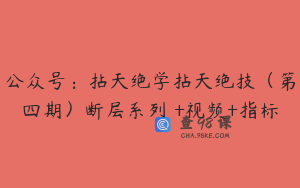公众号：拈天绝学拈天绝技（第四期）断层系列 +视频+指标