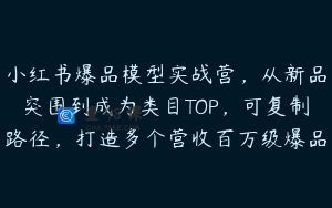 小红书爆品模型实战营，从新品突围到成为类目TOP，可复制路径，打造多个营收百万级爆品