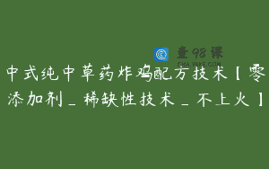 中式纯中草药炸鸡配方技术【零添加剂_稀缺性技术_不上火】