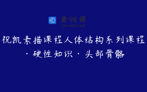 祝凯素描课程人体结构系列课程·硬性知识·头部骨骼