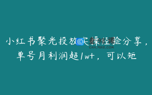 小红书聚光投放实操经验分享，单号月利润超1w+，可以矩