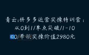 青云:拼多多运营实操特训营：从0到1/单点突破/1-100/带领实操价值2980元