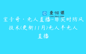 宝子哥·无人直播-非实时防风技术(更新11月)无人半无人直播