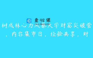 树成林心力风暴大学财富突破营，内容集市日，经验共享，财
