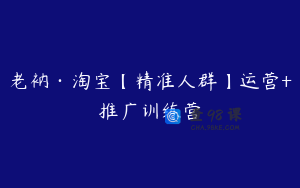 老衲·淘宝【精准人群】运营+推广训练营