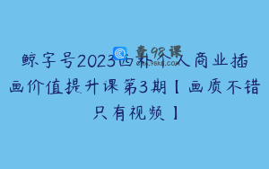 鲸字号2023西朴个人商业插画价值提升课第3期【画质不错只有视频】
