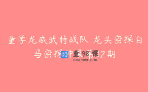 量学龙威武特战队 龙头密探白马密探仲展第32期
